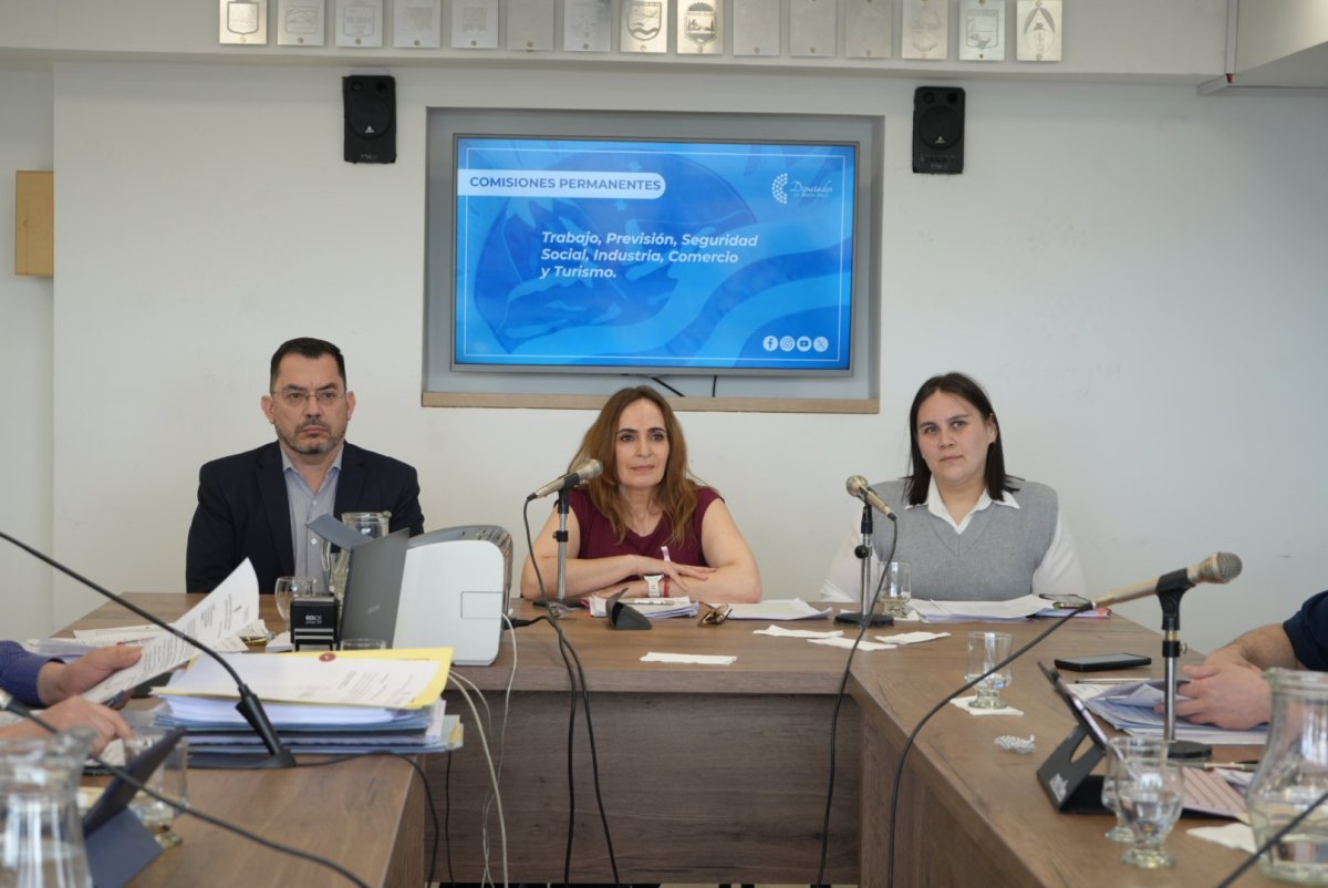 Transparencia y funcionamiento: Ricci expuso en la comisión de trabajo sobre Santa Cruz Puede S.A.U.