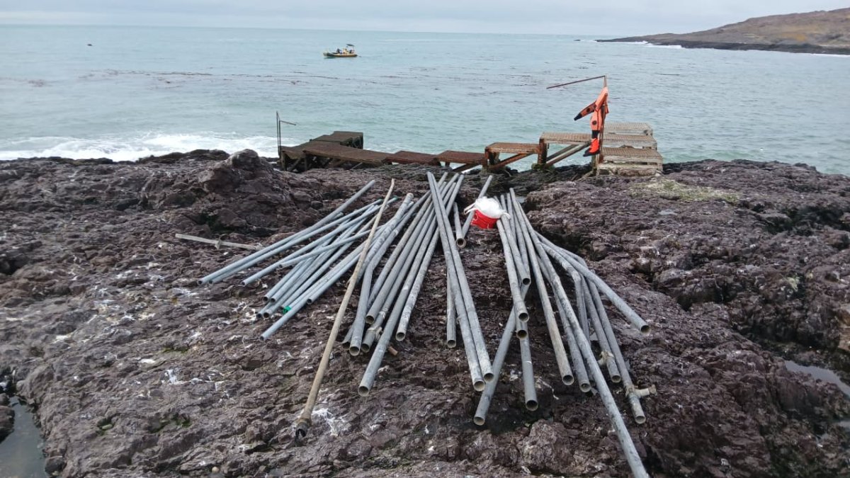 Mejoraron el acceso náutico en el Parque Marino Isla Pingüino