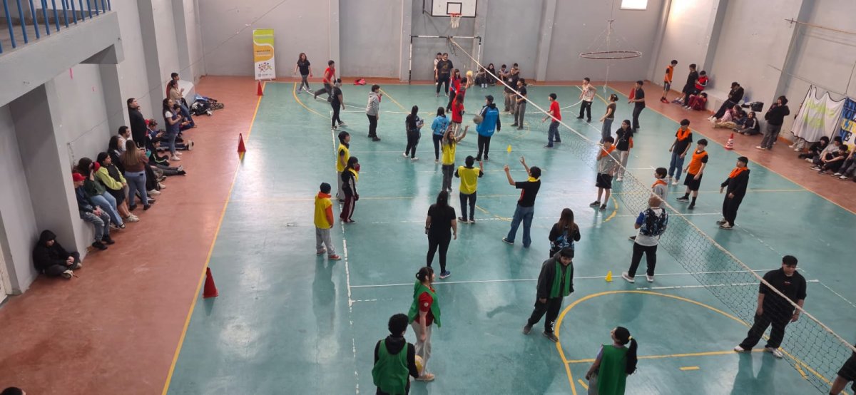 Juegos escolares en Newcom.