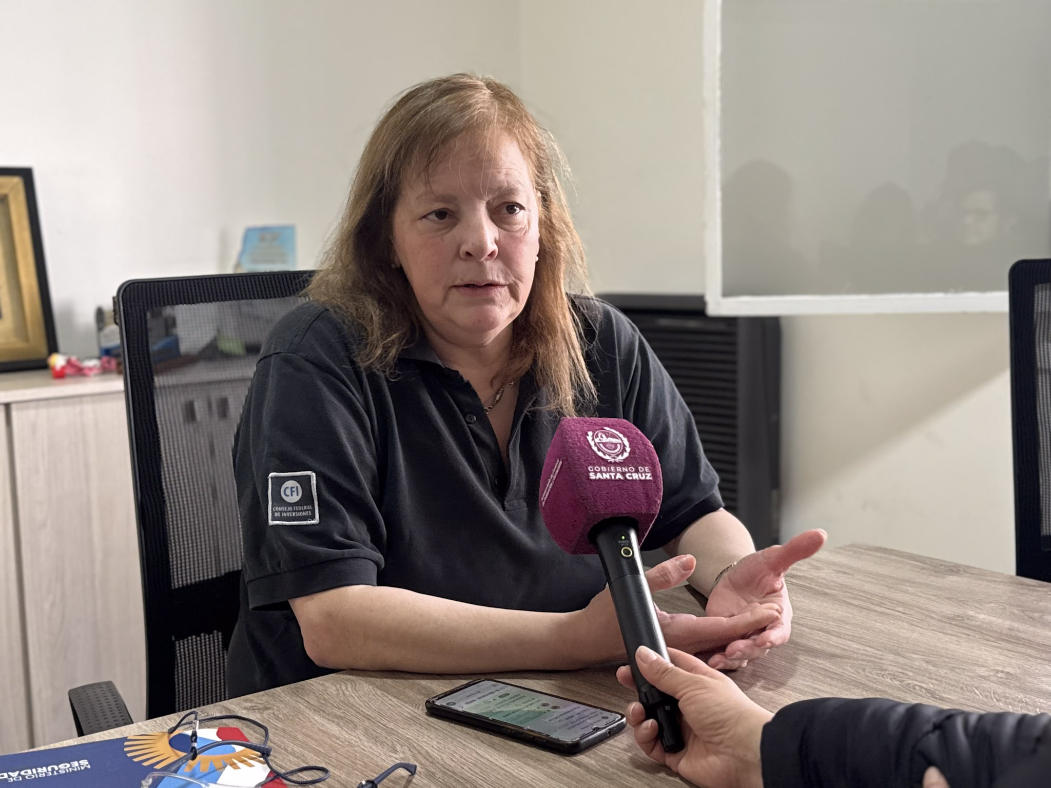 María Sanz presentó ante el Consejo Federal de Seguridad Vial una herramienta innovadora para el análisis de siniestros en Santa Cruz