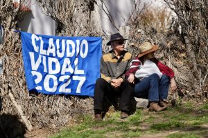 El guanaco abre nuevas oportunidades para la producción santacruceña