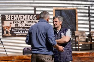 El guanaco abre nuevas oportunidades para la producción santacruceña