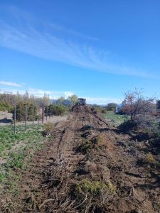 Vialidad Provincial realizó trabajos de mantenimiento y apertura de calles en Lago Posadas