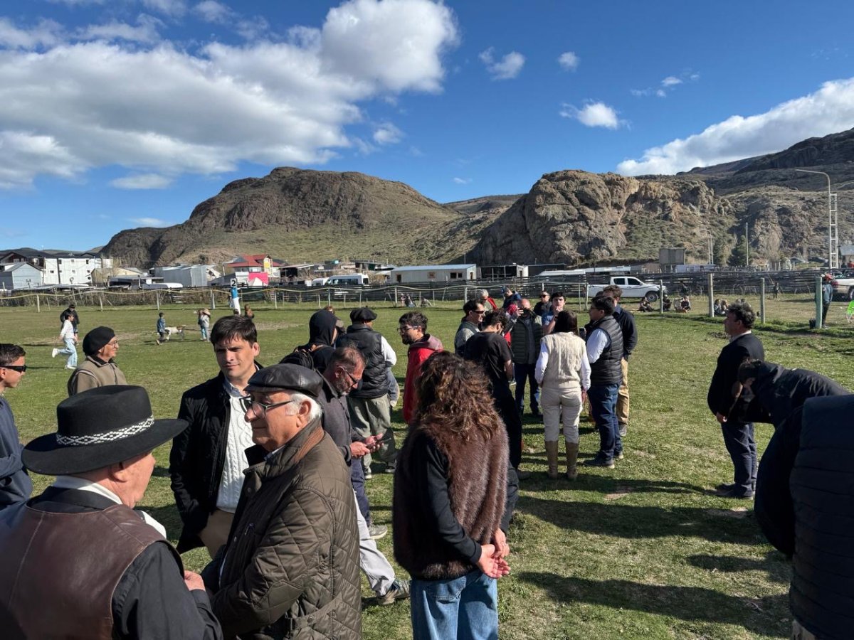 El CAP acompañó una jornada de amanse y esquila de guanacos en Estancia La Angostura