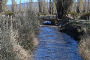 Carina Bosso destacó el trabajo articulado entre Provincia y Municipio para recuperar el sistema público de riego de Gobernador Gregores