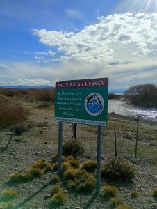 Pesca reforzó controles en Las Chilcas y el lago Buenos Aires
