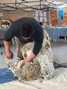 Impulsan proyectos pedagógicos enfocados en ciencia, territorio e identidad local