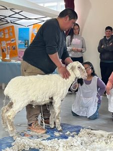 Impulsan proyectos pedagógicos enfocados en ciencia, territorio e identidad local