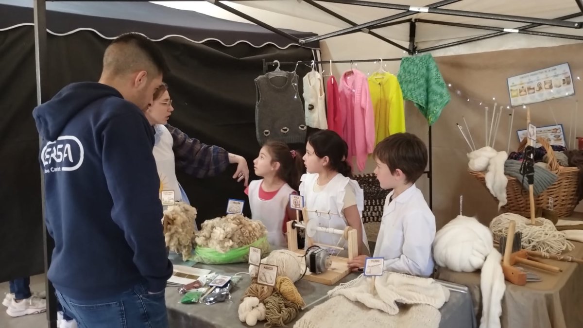 Impulsan proyectos pedagógicos enfocados en ciencia, territorio e identidad local