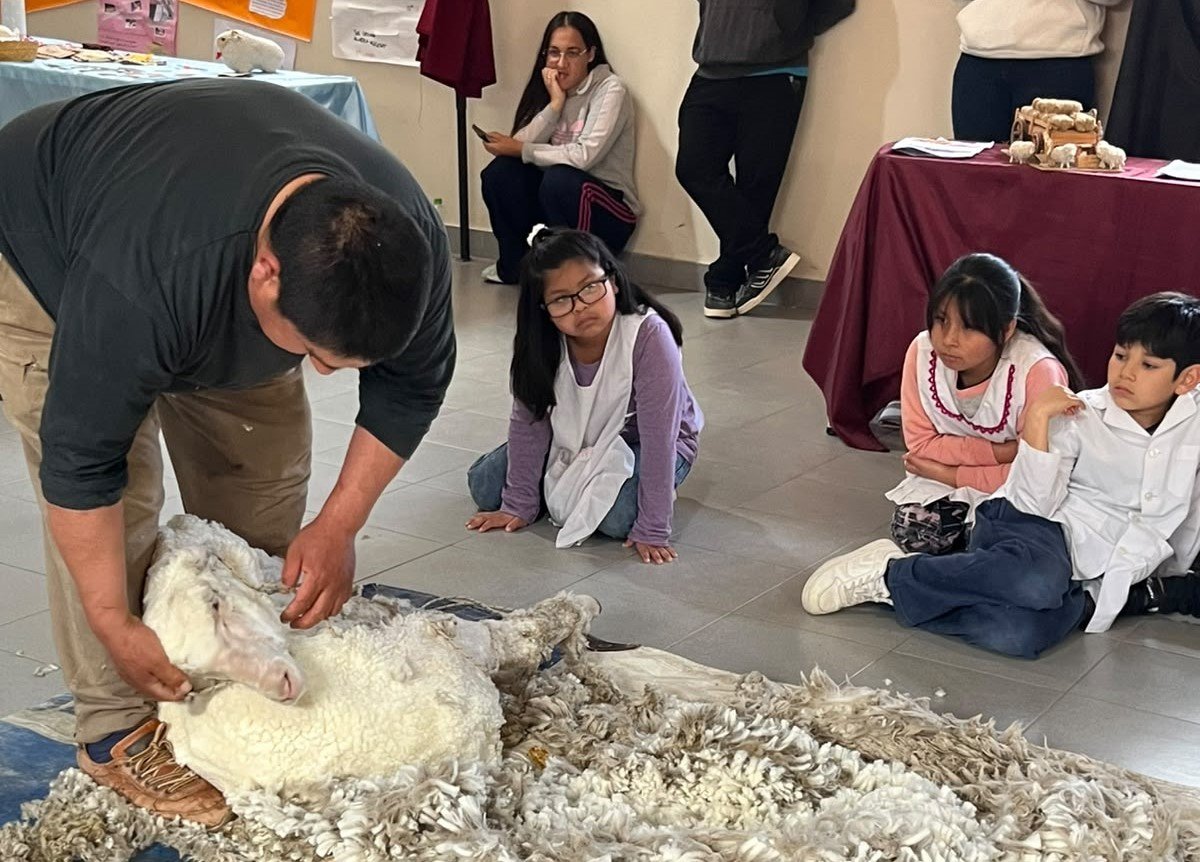 Impulsan proyectos pedagógicos enfocados en ciencia, territorio e identidad local