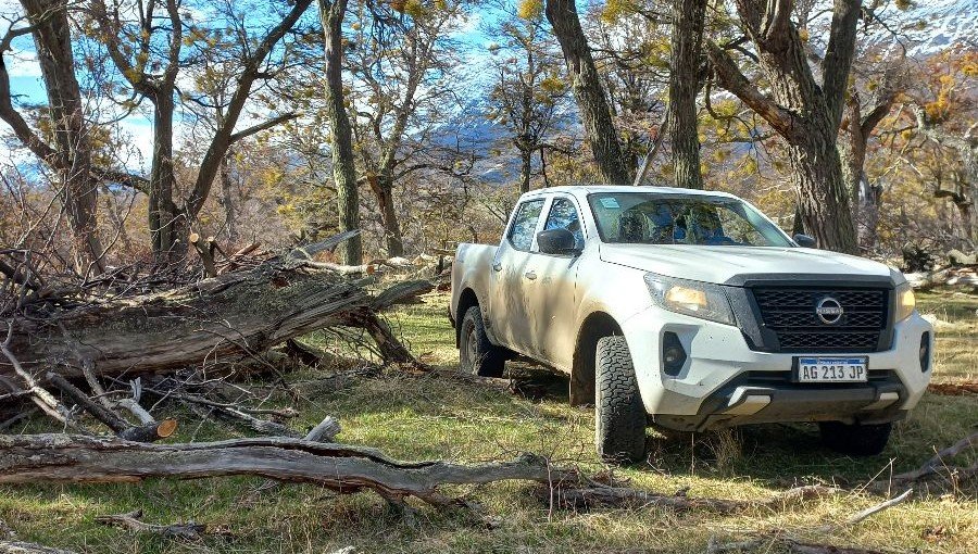 El CAP fortalece el manejo de los bosques nativos y la prevención de incendios en Gobernador Gregores
