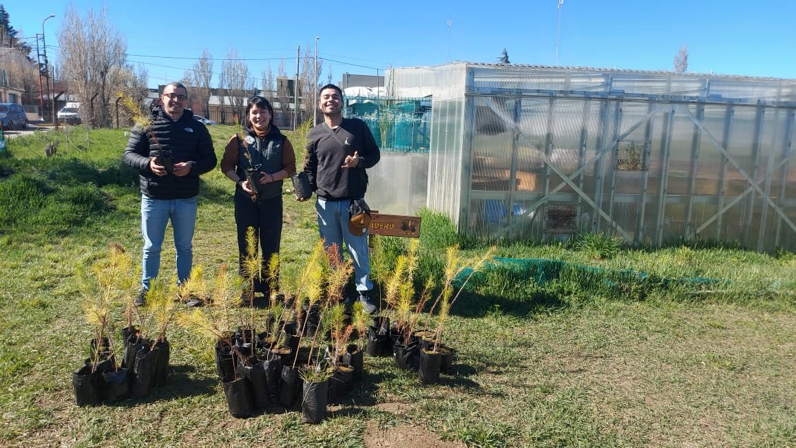 Entrega de lavandas y pinos a instituciones educativas.