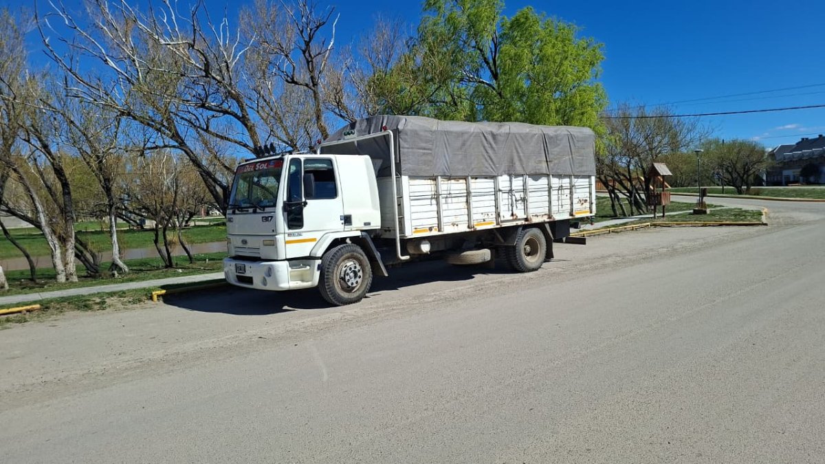 Camión equipado con insumos clave, entre los que se destacan cargamentos de piso flotante y porcelanato.