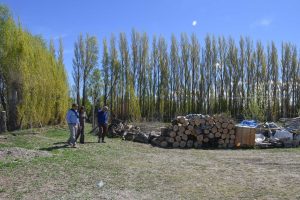 Llegó a Gregores para estudiar y echó raíces: la historia de Fabián Gabriel y su apuesta por producir en la tierra que eligió