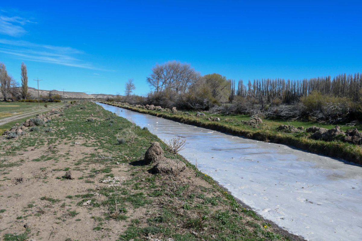 Llegó a Gregores para estudiar y echó raíces: la historia de Fabián Gabriel y su apuesta por producir en la tierra que eligió