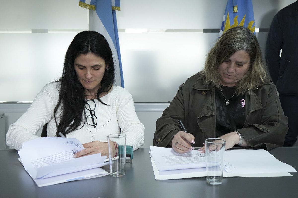 Programa de acompañamiento psicosocial grupal en procesos adoptivos