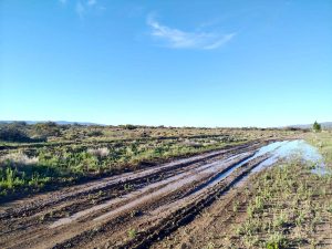 Recursos Hídricos solicita mantener en condiciones los canales de riego en Gobernador Gregores