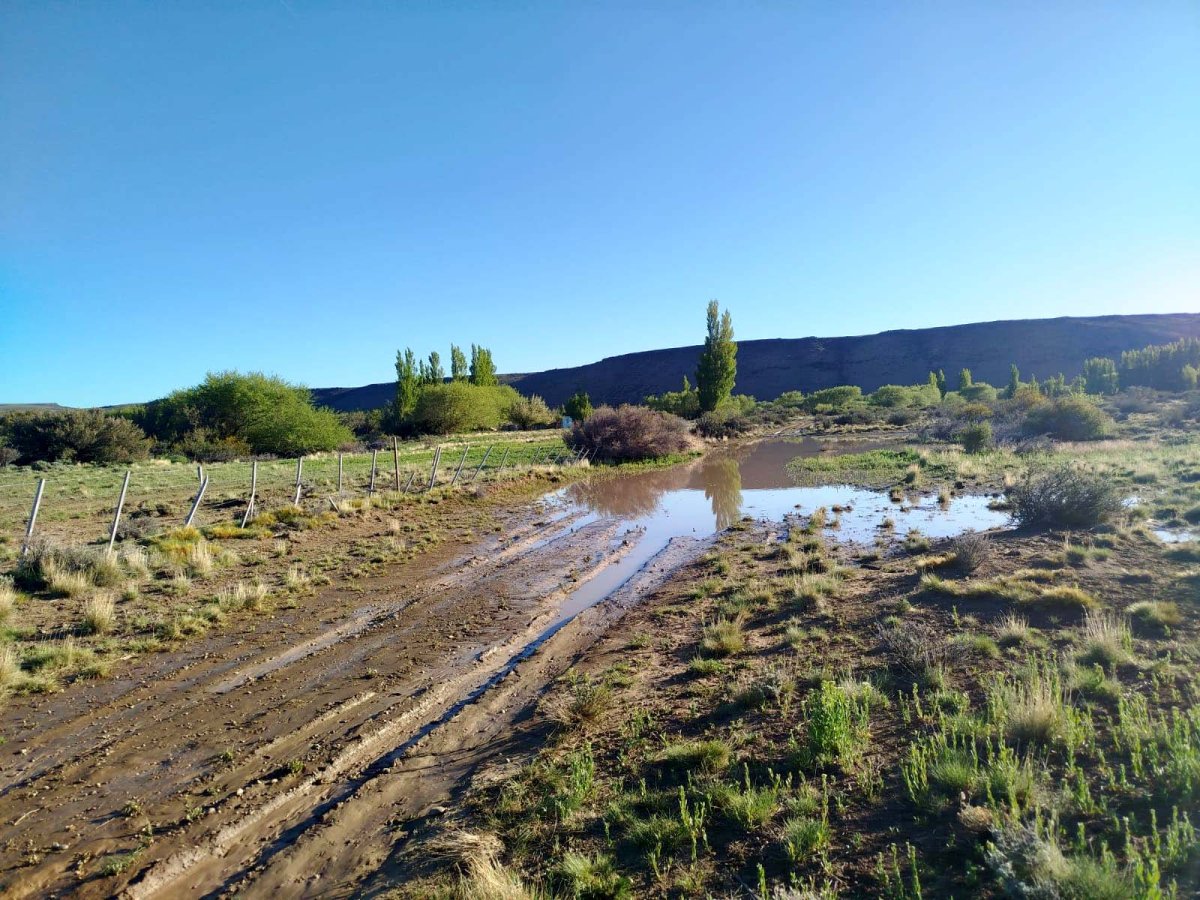 Recursos Hídricos solicita mantener los canales de riego en  Gobernador Gregores