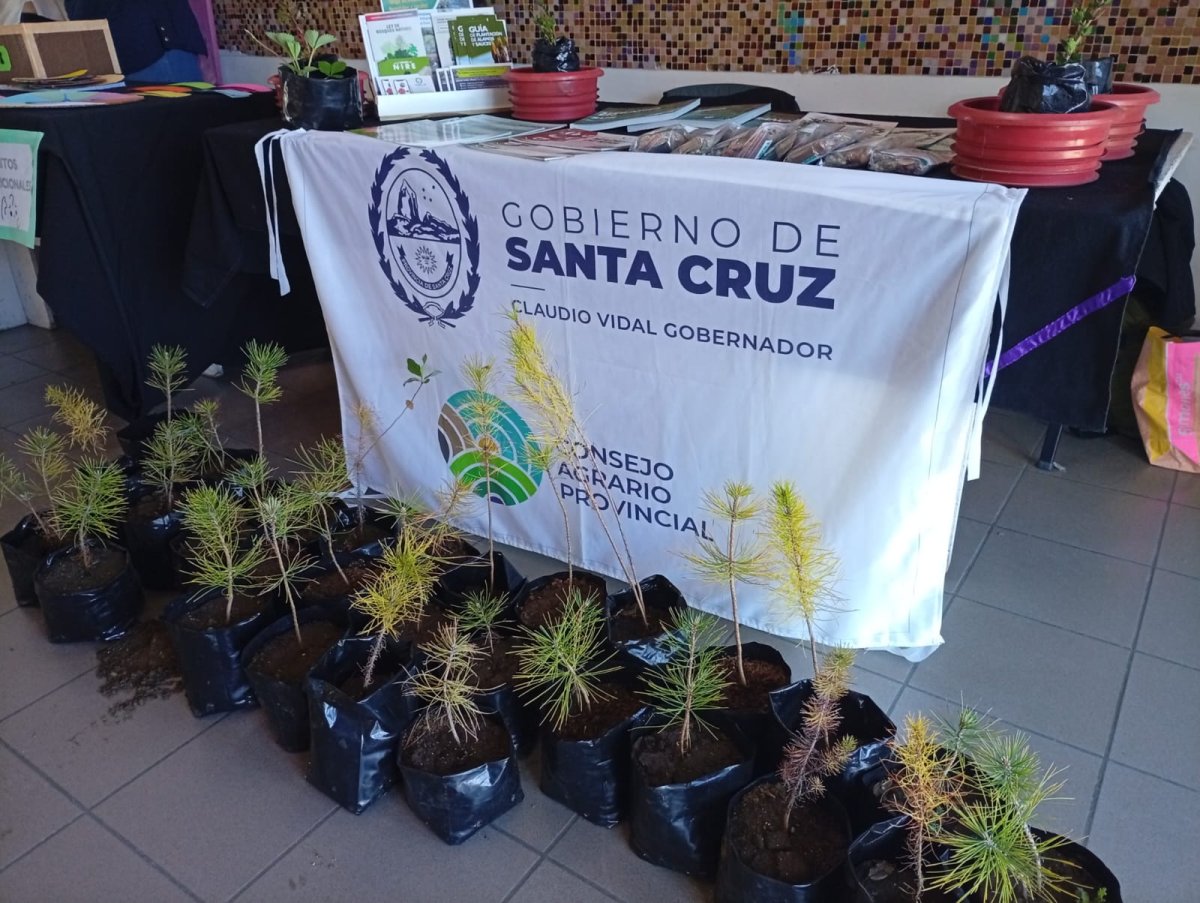 El CAP promueve el cuidado ambiental en una jornada de prevención en Río Gallegos