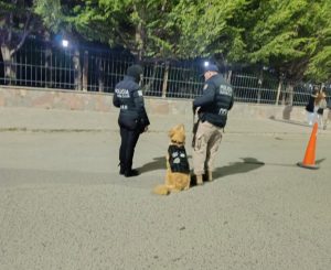 La Policía de Santa Cruz realizó controles preventivos en Perito Moreno y El Calafate