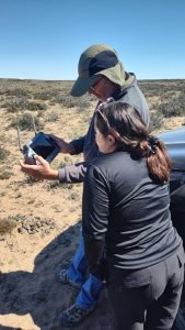 Santa Cruz prueba el uso de drones para facilitar el encierre de guanacos