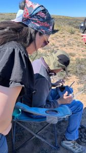 Santa Cruz prueba el uso de drones para facilitar el encierre de guanacos