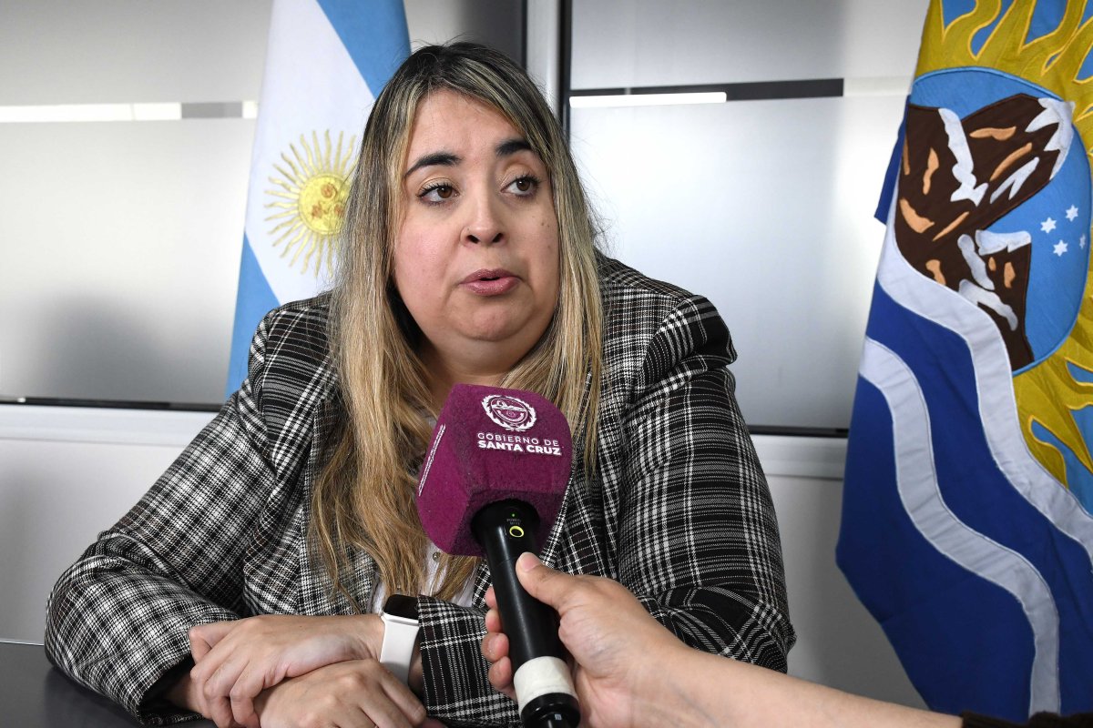 Santa Cruz realizará su Primera Jornada Provincial sobre guarda con fines adoptivos