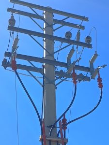 SPSE realizó trabajos de mantenimiento en la línea de media tensión que abastece a Jaramillo y Fitz Roy
