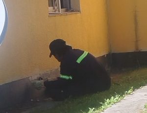 Vialidad Provincial concretó trabajos en Gobernador Gregores, Perito Moreno y Tres Lagos 