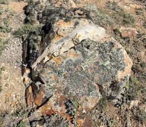 Santa Cruz verificó inversiones en proyectos mineros del Macizo del Deseado