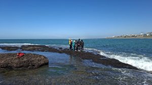 Impulsaron una jornada interinstitucional de salvamento acuático en la costa patagónica