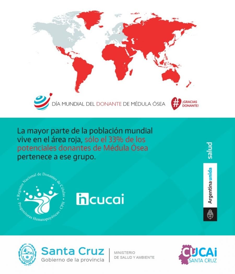 Día Mundial del Donante de Médula Ósea