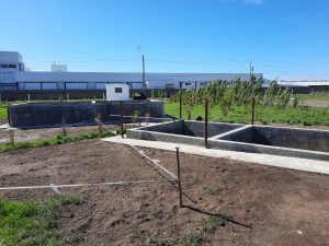 Avanzan en obras y mejoras ambientales en frigoríficos