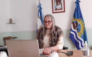 Potenciar Trabajo: Santa Cruz presente en un nuevo encuentro del Consejo Federal de Desarrollo Social