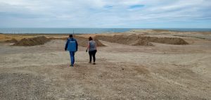 Ambiente realizó controles en plantas pesqueras