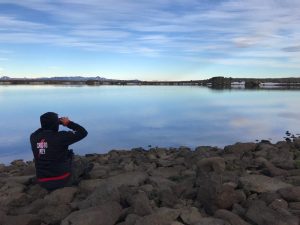 Los macá tobiano llegaron a la Meseta del Lago Buenos Aires