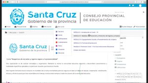 Más de 10 mil personas participaron de la Jornada de Capacitación sobre COVID -19