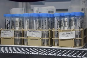 Reconocimiento y certificación para el laboratorio del HRRG