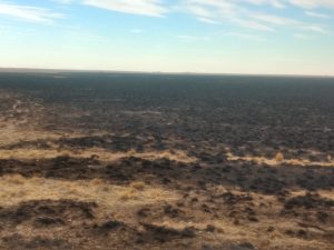 Articularon acciones para sofocar el incendio en inmediaciones de la Estancia Punta Loyola