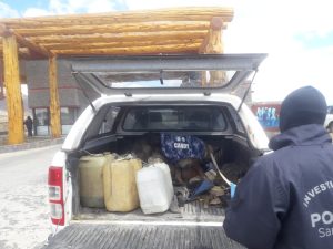 Miño: “Es fabuloso trabajar con un can”