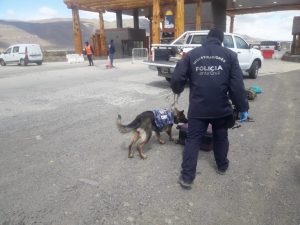 Miño: “Es fabuloso trabajar con un can”