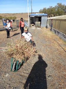 Ciclo lectivo 2021: Estudiantes participaron de distintas actividades en la Escuela Rural de Las Vegas