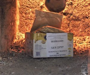 Seguridad incineró estupefacientes
