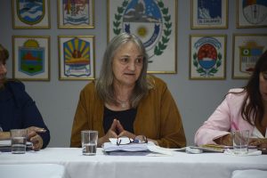 Resaltaron los puntos de trabajo en el encuentro de Desarrollo Social con equipos de Zona Norte