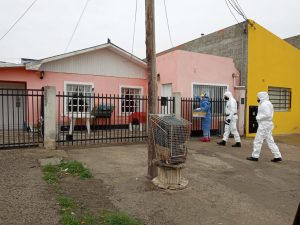 Fiestas clandestinas: el Gobierno lleva adelante acciones de testeo y monitoreo de prevención