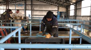 Comenzaron las tareas de limpieza en la Planta Potabilizadora de Agua de Río Gallegos
