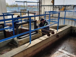 Se concretó la cuarta jornada de limpieza en la Planta Potabilizadora de Río Gallegos