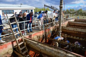 Avanzan con buenos resultados las tareas en la Planta Potabilizadora de Río Gallegos