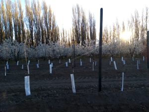 Autoridades recorrieron Zona Norte para coordinar trabajo junto a productorxs y municipios