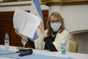 Alicia: “Es muy importante el cumplimiento de los derechos sociales porque también son derechos humanos”